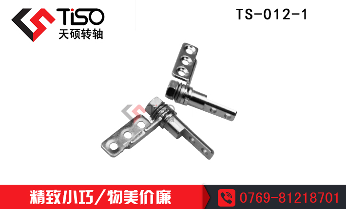 VݹPӛXD(zhun)S|{(ln)IPD(zhun)S|TS-012-1|D(zhun)SS